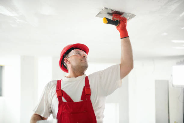 Best Residential Painting  in Leesburg, FL